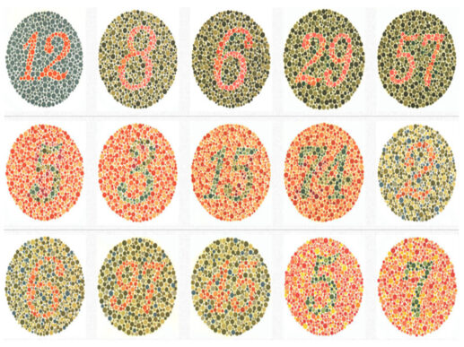 Steps To Do After Failing JPJ Color Blindness Test – OOK Blog