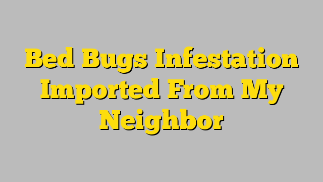 Bed Bugs Infestation Imported From My Neighbor